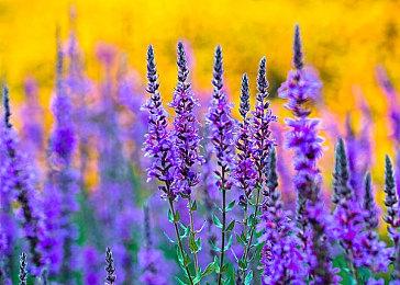 黑神话首支纪录片独家首播： 路在脚下｜对话杨奇：《黑神话：悟空》的美术开发之路